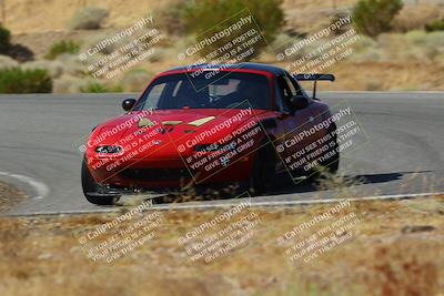 media/Sep-29-2024-Turn8 Trackdays (Sun) [[1cf3b4bb64]]/Purple/Session 2 (Turn 2)/